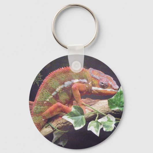 Porte-clés Panther Chameleon (Recto)