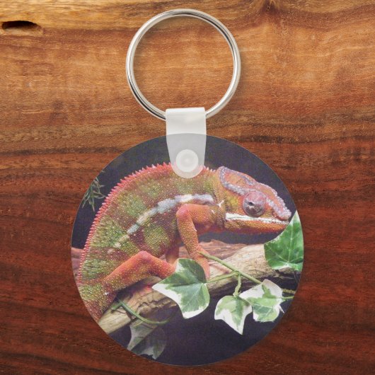 Porte-clés Panther Chameleon (Recto)