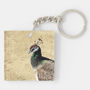 Porte-clés Paon