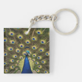 Porte-clés Paon Bleu (Dos)