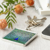 Porte-clés Paon dans la pleine photographie d'affichage de (Côté)