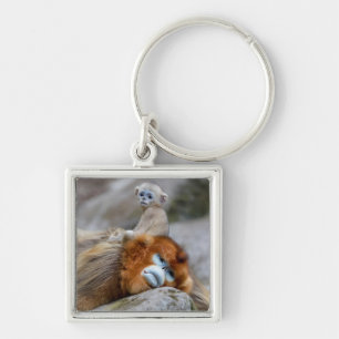 Porte-clés Papa singe à nez doré avec bébé
