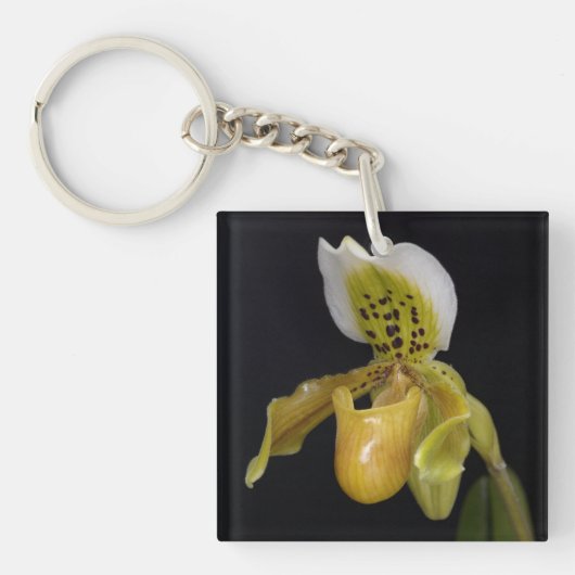 Porte-clés Paphiopedilum Exul (Devant)