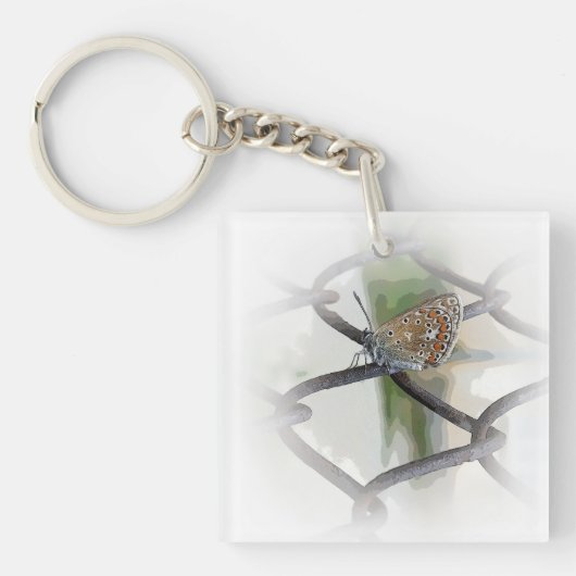 Porte-clés papillon à la clôture (Devant)