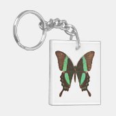 Porte-clés Papillon à queue blanche (Devant gauche)