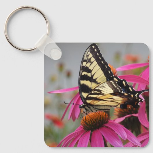 Porte-clés Papillon à queue jaune sur Echinacea rose (Recto)
