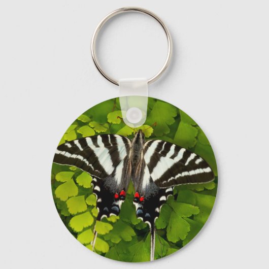 Porte-clés Papillon à queue noire américain (Recto)