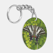 Porte-clés Papillon américain porte-queue (Devant gauche)