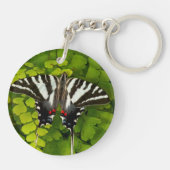 Porte-clés Papillon américain porte-queue (Dos)