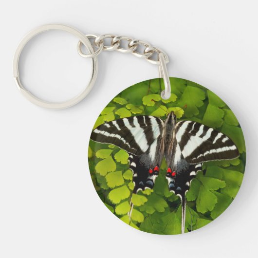 Porte-clés Papillon américain porte-queue (Devant)