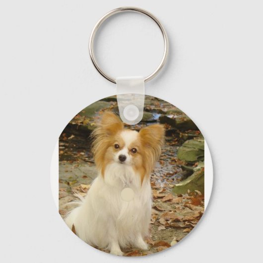 Porte-clés Papillon assis.png (Recto)