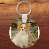 Porte-clés Papillon assis.png (Recto)