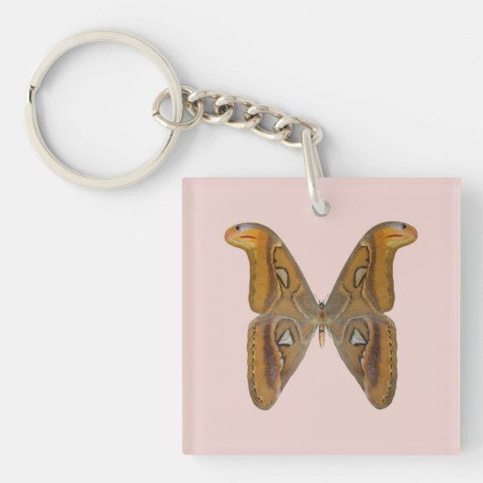 Porte-clés Papillon Atlas (Devant)