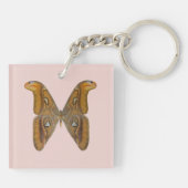 Porte-clés Papillon Atlas (Dos)