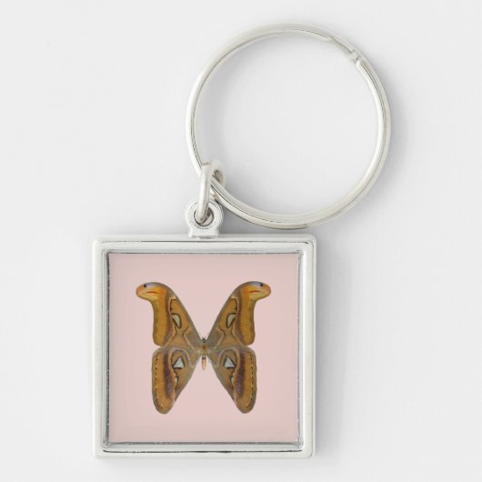 Porte-clés Papillon Atlas (Devant)