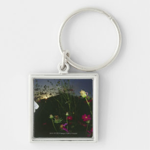 Porte-clés Papillon blanc en vol au coucher du soleil