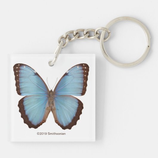 Porte-clés Papillon bleu Morpho (Dos)