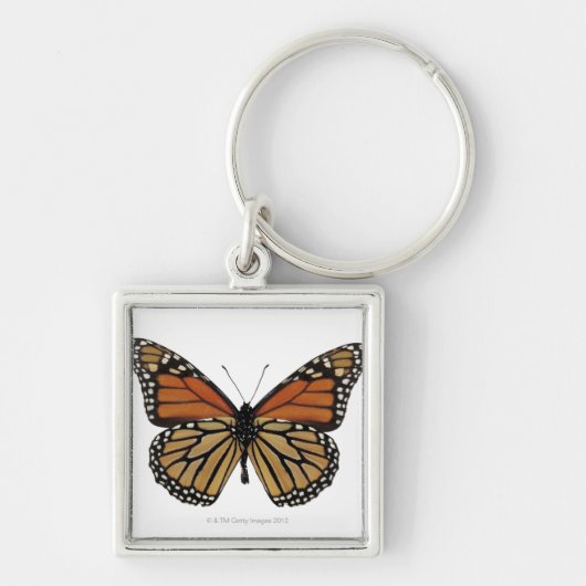 Porte-clés Papillon de Danaus de Plexippus (Devant)