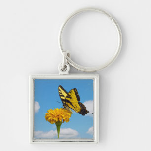 Porte-clés Papillon de machaon de tigre sur une fleur
