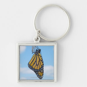 Porte-clés Papillon de monarque, avec Chrysalis