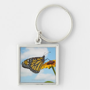 Porte-clés Papillon de monarque sur une Susan observée par