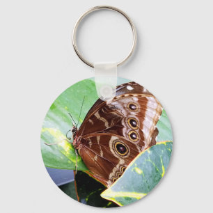 Porte-clés papillon de nuit à l'œil joli brun beige image ins