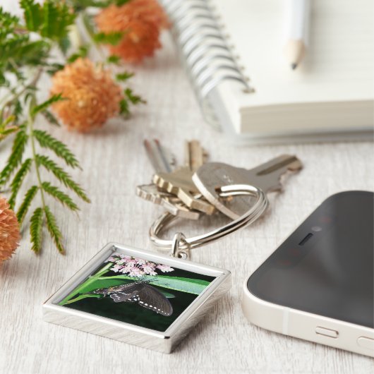 Porte-clés Papillon de nuit noir Swallowtail à Shenandoah (Côté)