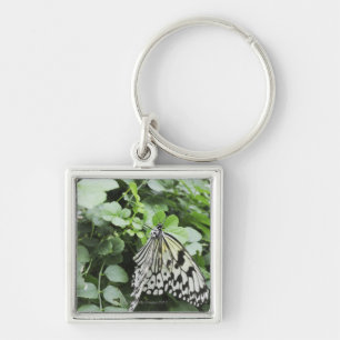 Porte-clés Papillon de papier de cerf-volant (leuconoe