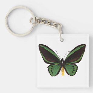 Porte-clés Papillon d'oiseau vert