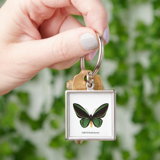 Porte-clés Papillon d'oiseau vert (main)