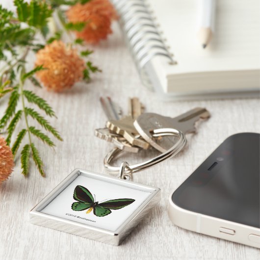 Porte-clés Papillon d'oiseau vert (Côté)