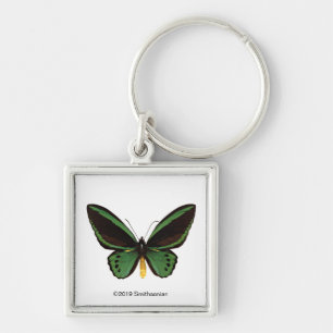 Porte-clés Papillon d'oiseau vert
