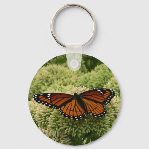 Porte-clés Papillon Limenitis Artémis Photographie De La Bell