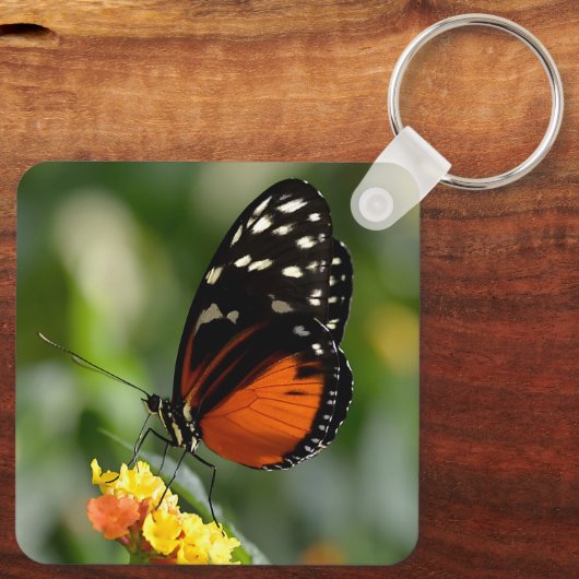 Porte-clés Papillon long tigre sur fleur (Verso)