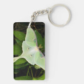 Porte-clés Papillon luna sur clématite de Carnaby (Dos)