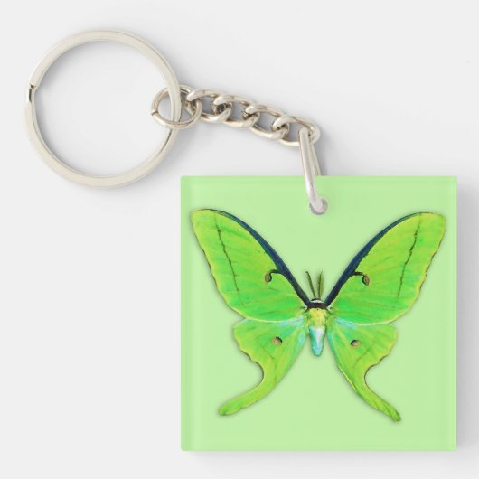 Porte-clés Papillon lune sur fond vert pâle (Devant)