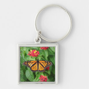 Porte-clés Papillon Monarque sur Lantana
