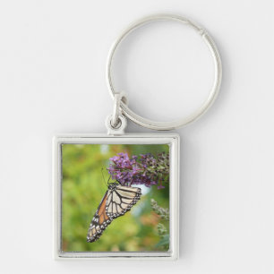 Porte-clés Papillon Monarque sur papillon pourpre Bush