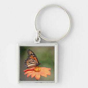 Porte-clés Papillon Monarque sur une fleur d'orange