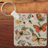 Porte-clés Papillon Moth Nature Collection Dessin (Recto)