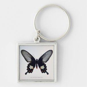 Porte-clés Papillon noir et brun