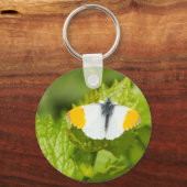 Porte-clés Papillon Orange Tip (Recto)