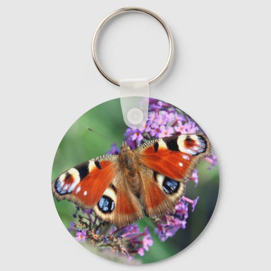 Porte-clés Papillon Peacock (Recto)