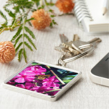 Papillon sur Fleur rose |