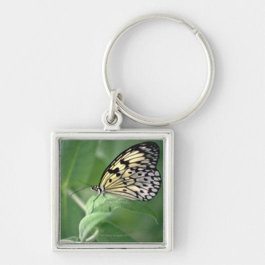 Porte-clés Papillon sur la feuille (Devant)