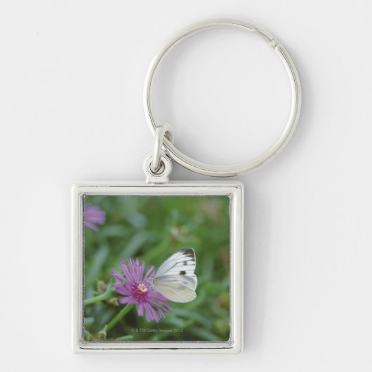Porte-clés Papillon sur la fleur (Devant)