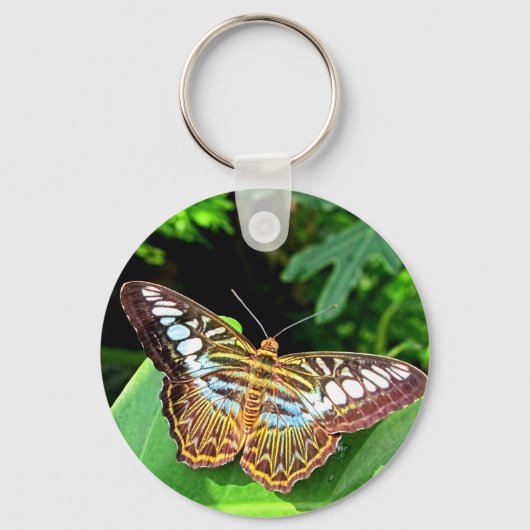 Porte-clés Papillon sur une feuille (Recto)