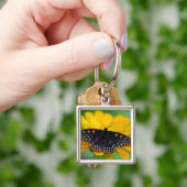 Porte-clés Papillon tacheté de Baltimore (main)