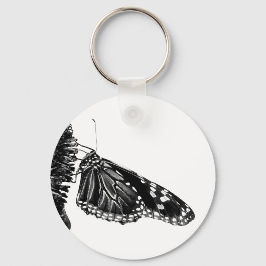 Porte-clés papillon timide blacq (Recto)