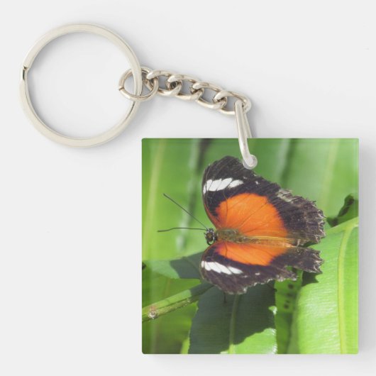 Porte-clés Papillon tropical (Devant)